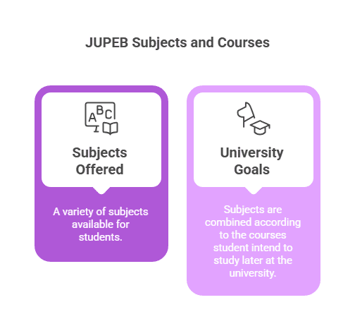 Exploring JUPEB Subjects and Courses: Your Pathway to Academic Excellence 1 JUPEB Subjects and Courses